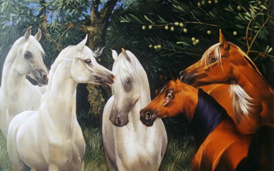 Arabians in olive tree, oil on canvas